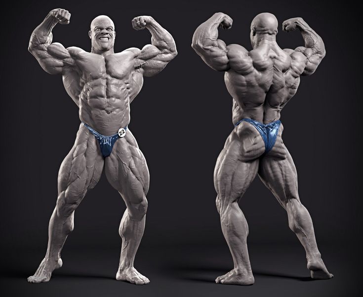 No momento, você está visualizando Guia Completo para Mesomorfos: Como Potencializar o Ganho Muscular e Definição