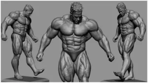 Leia mais sobre o artigo Guia Completo para Endomorfos: Como Ganhar Massa Muscular e Perder Gordura
