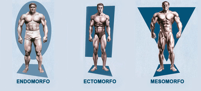 No momento, você está visualizando Genética e Exercícios Físicos: Como Seu Tipo Genético Influencia Seus Resultados