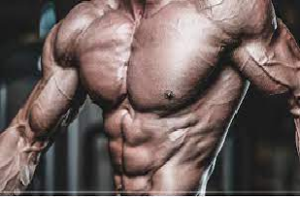 Leia mais sobre o artigo Rotinas de Musculação para Hipertrofia: Guia Completo