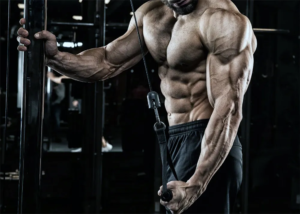 Leia mais sobre o artigo Os 7 Melhores Exercícios para Tríceps Grandes e Definidos: Guia Completo para Hipertrofia