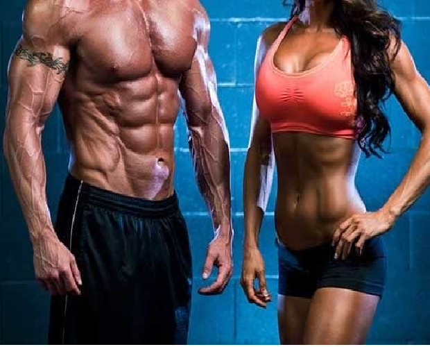 No momento, você está visualizando 🏋️‍♂️ Quais São os Músculos que Mais Contribuem para a Estética Corporal?